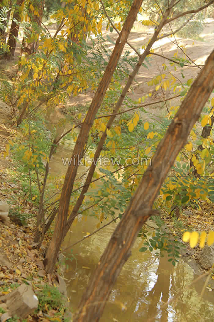 عکاسی / تاریخچه عکاسی / در باره عکاسی / photography عکاسی از طبیعت