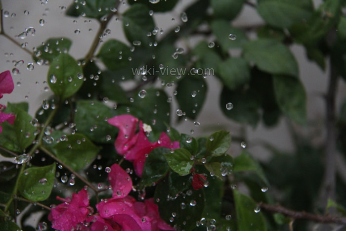 انجماد در عکاسی