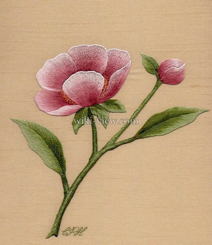 گلدوزی با دست / طرح ساده برای گلدوزی با دست / طرح گلدوزی با دست / آموزش تصویری گلدوزی با دست