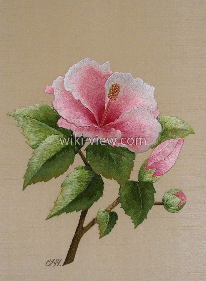 گلدوزی با دست / طرح ساده برای گلدوزی با دست / طرح گلدوزی با دست / آموزش تصویری گلدوزی با دست