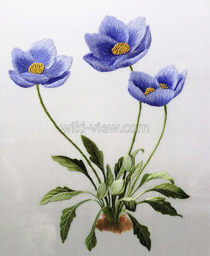 گلدوزی با دست / طرح ساده برای گلدوزی با دست / طرح گلدوزی با دست / آموزش تصویری گلدوزی با دست