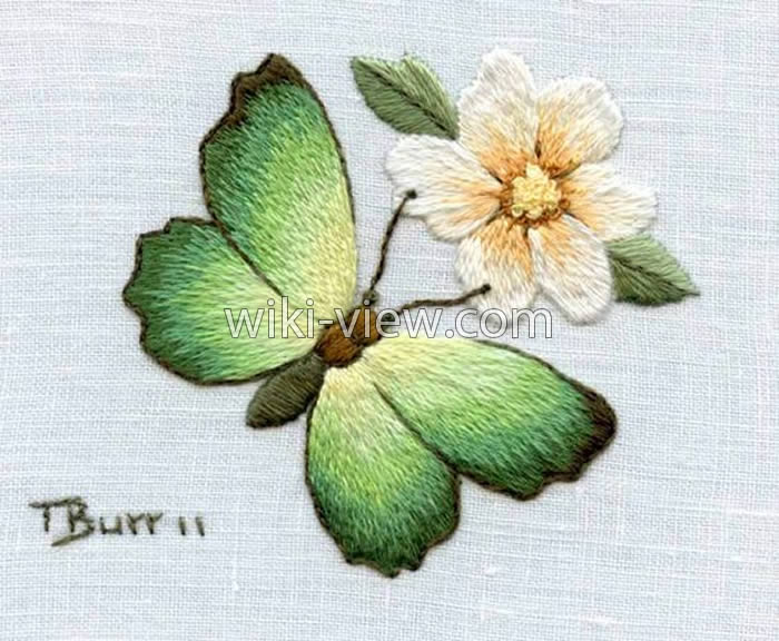 گلدوزی با دست / طرح ساده برای گلدوزی با دست / طرح گلدوزی با دست / آموزش تصویری گلدوزی با دست