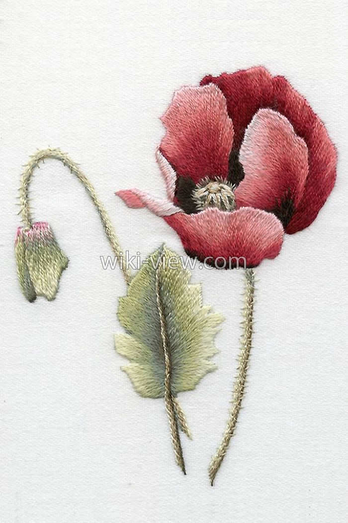 گلدوزی با دست / طرح ساده برای گلدوزی با دست / طرح گلدوزی با دست / آموزش تصویری گلدوزی با دست