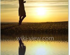 انعکاس عکس در آب در فتوشاپ / آموزش فتوشاپ / انعکاس تصاویر در فتوشاپ انعکاس عکس در آب در فتوشاپ / آموزش فتوشاپ / انعکاس تصاویر در فتوشاپ