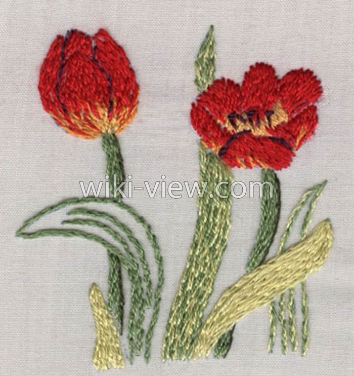 دوخت زنجیره / آموزش دوخت زنجیره ای / دوخت زنجیره تزئینی / دوخت زنجیره در گلدوزی / split stitch / توضیح دوخت زنجیره ای / عکس دوخت زنجیره ای / طرح زنجیره دوزی / آموزش دوخت زنجیره ای در گلدوزی نمونه طرح دوخته شده