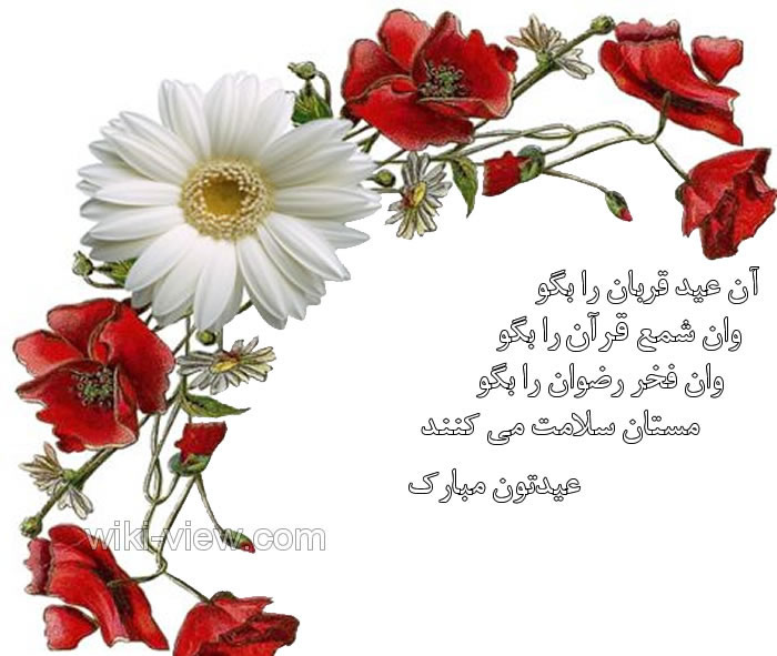 اس ام اس تبریک عید قربان / تبریک عید قربان / جملات زیبا در مورد عید قربان / عید قربان مبارک / تصاویر زیبا عید قربان / تبریک عید سعید قربان کارت اس ام اس تبریک عید قربان