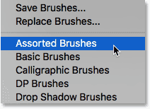 گزینه assorted brushes در فتوشاپ