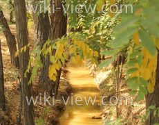 عکاسی از پارک ها / اصول عکاسی طبیعت / عکاسی از گل و گیاه / عکاسی طبیعت
