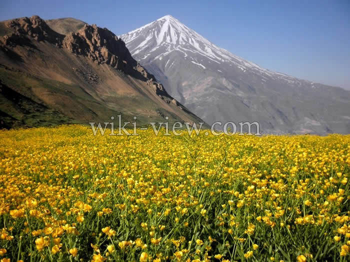 کوه دماوند / شهر دماوند / دماوند تهران / جاهای دیدنی دماوند تهران / کوه دماوند تهران / شهرستان دماوند کجاست / نقشه شهر دماوند / تصاویر شهر دماوند کوه دماوند تهران / فوران کوه دماوند قله دماوند در کنار دشت های زیبا