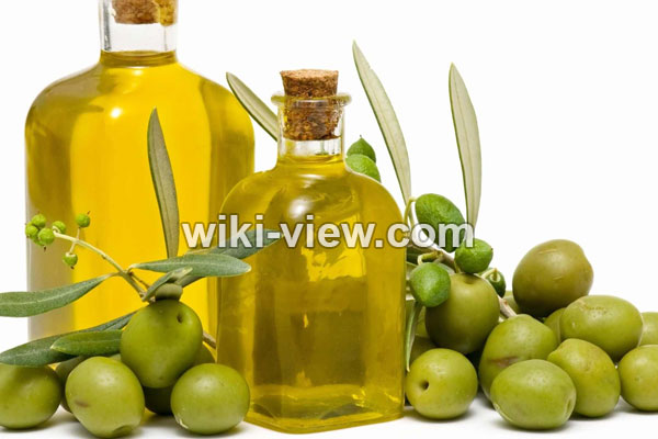 روغن زیتون, خواص روغن زیتون, مضرات روغن زیتون, ایا روغن زیتون پوست را سفید میکند, خواص روغن زیتون برای پوست, خوردن روغن زیتون ناشتا, طریقه مصرف روغن زیتون, انواع روغن زیتون, خواص روغن زیتون برای مو روغن زیتون, خواص روغن زیتون, مضرات روغن زیتون, ایا روغن زیتون پوست را سفید میکند, خواص روغن زیتون برای پوست, خوردن روغن زیتون ناشتا, طریقه مصرف روغن زیتون, انواع روغن زیتون, خواص روغن زیتون برای مو