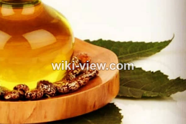 روغن کرچک, خواص روغن کرچک, مضرات روغن کرچک, مضرات روغن کرچک برای پوست صورت, روغن کرچک برای مژه, خواص روغن کرچک برای دور چشم, روغن کرچک برای یبوست, خواص روغن کرچک برای ابرو, روغن کرچک برای لک صورت, خوردن روغن کرچک روغن کرچک, خواص روغن کرچک, مضرات روغن کرچک, مضرات روغن کرچک برای پوست صورت, روغن کرچک برای مژه, خواص روغن کرچک برای دور چشم, روغن کرچک برای یبوست, خواص روغن کرچک برای ابرو, روغن کرچک برای لک صورت, خوردن روغن کرچک