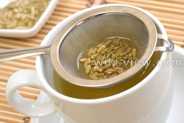 رازیانه, خواص رازیانه, مضرات رازیانه, طریقه مصرف رازیانه, عرق رازیانه, خواص عرق رازیانه, مضرات عرق رازیانه, رازیانه و قاعدگی, زمان مصرف رازیانه, دمنوش رازیانه, مضرات رازیانه برای زنان, پودر رازیانه, طبع رازیانه رازیانه, خواص رازیانه, مضرات رازیانه, طریقه مصرف رازیانه, عرق رازیانه, خواص عرق رازیانه, مضرات عرق رازیانه, رازیانه و قاعدگی, زمان مصرف رازیانه, دمنوش رازیانه, مضرات رازیانه برای زنان, پودر رازیانه, طبع رازیانه
