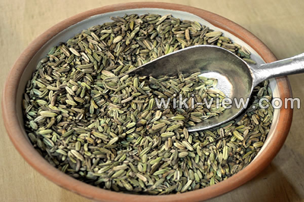رازیانه, خواص رازیانه, مضرات رازیانه, طریقه مصرف رازیانه, عرق رازیانه, خواص عرق رازیانه, مضرات عرق رازیانه, رازیانه و قاعدگی, زمان مصرف رازیانه, دمنوش رازیانه, مضرات رازیانه برای زنان, پودر رازیانه, طبع رازیانه رازیانه, خواص رازیانه, مضرات رازیانه, طریقه مصرف رازیانه, عرق رازیانه, خواص عرق رازیانه, مضرات عرق رازیانه, رازیانه و قاعدگی, زمان مصرف رازیانه, دمنوش رازیانه, مضرات رازیانه برای زنان, پودر رازیانه, طبع رازیانه
