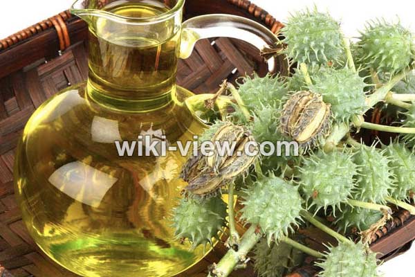 روغن کرچک, خواص روغن کرچک, مضرات روغن کرچک, مضرات روغن کرچک برای پوست صورت, روغن کرچک برای مژه, خواص روغن کرچک برای دور چشم, روغن کرچک برای یبوست, خواص روغن کرچک برای ابرو, روغن کرچک برای لک صورت, خوردن روغن کرچک روغن کرچک, خواص روغن کرچک, مضرات روغن کرچک, مضرات روغن کرچک برای پوست صورت, روغن کرچک برای مژه, خواص روغن کرچک برای دور چشم, روغن کرچک برای یبوست, خواص روغن کرچک برای ابرو, روغن کرچک برای لک صورت, خوردن روغن کرچک