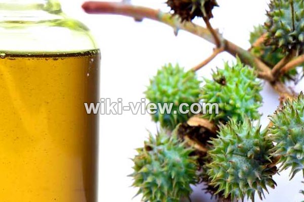 روغن کرچک, خواص روغن کرچک, مضرات روغن کرچک, مضرات روغن کرچک برای پوست صورت, روغن کرچک برای مژه, خواص روغن کرچک برای دور چشم, روغن کرچک برای یبوست, خواص روغن کرچک برای ابرو, روغن کرچک برای لک صورت, خوردن روغن کرچک روغن کرچک, خواص روغن کرچک, مضرات روغن کرچک, مضرات روغن کرچک برای پوست صورت, روغن کرچک برای مژه, خواص روغن کرچک برای دور چشم, روغن کرچک برای یبوست, خواص روغن کرچک برای ابرو, روغن کرچک برای لک صورت, خوردن روغن کرچک