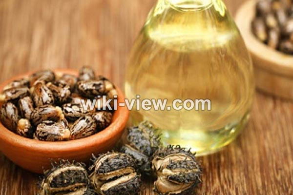 روغن کرچک, خواص روغن کرچک, مضرات روغن کرچک, مضرات روغن کرچک برای پوست صورت, روغن کرچک برای مژه, خواص روغن کرچک برای دور چشم, روغن کرچک برای یبوست, خواص روغن کرچک برای ابرو, روغن کرچک برای لک صورت, خوردن روغن کرچک روغن کرچک, خواص روغن کرچک, مضرات روغن کرچک, مضرات روغن کرچک برای پوست صورت, روغن کرچک برای مژه, خواص روغن کرچک برای دور چشم, روغن کرچک برای یبوست, خواص روغن کرچک برای ابرو, روغن کرچک برای لک صورت, خوردن روغن کرچک