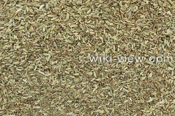 رازیانه, خواص رازیانه, مضرات رازیانه, طریقه مصرف رازیانه, عرق رازیانه, خواص عرق رازیانه, مضرات عرق رازیانه, رازیانه و قاعدگی, زمان مصرف رازیانه, دمنوش رازیانه, مضرات رازیانه برای زنان, پودر رازیانه, طبع رازیانه رازیانه, خواص رازیانه, مضرات رازیانه, طریقه مصرف رازیانه, عرق رازیانه, خواص عرق رازیانه, مضرات عرق رازیانه, رازیانه و قاعدگی, زمان مصرف رازیانه, دمنوش رازیانه, مضرات رازیانه برای زنان, پودر رازیانه, طبع رازیانه