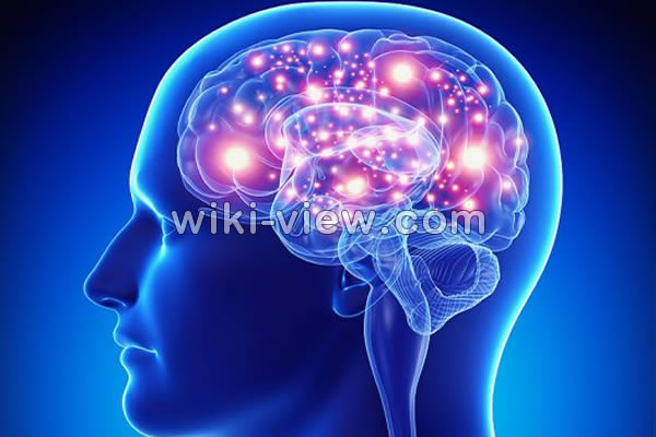 صرع, صرع چیست, علائم صرع خفیف, بیماری صرع و ازدواج, انواع بیماری صرع, درمان بیماری صرع, درمان صرع در طب سنتی, بیماری صرع ارثی است, درمان صرع, تشنج صرع, صرع چیست, علائم صرع خفیف, بیماری صرع و ازدواج, انواع بیماری صرع, درمان بیماری صرع, درمان صرع در طب سنتی, بیماری صرع ارثی است, درمان صرع, تشنج
