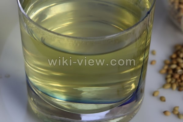 گشنیز, خواص گشنیز در طب سنتی, مضرات گشنیز, خواص گشنیز, ماسک گشنیز, خواص عرق گشنیز, خواص آب گشنیز, طبع گشنیز, ارزش غذایی گشنیز گشنیز, خواص گشنیز در طب سنتی, مضرات گشنیز, خواص گشنیز, ماسک گشنیز, خواص عرق گشنیز, خواص آب گشنیز, طبع گشنیز, ارزش غذایی گشنیز