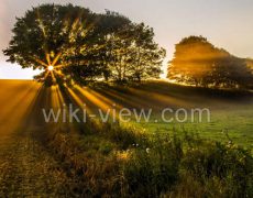 عکاسی طبیعت / عکاسی لنداسکیپ / عکاسی حیات وحش / عکاسی طبیعت ایران