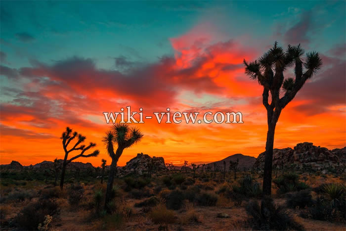 عکاسی در کویر / آموزش عکاسی در کویر / عکاسی شب در کویر / آموزش عکاسی عکاسی در کویر