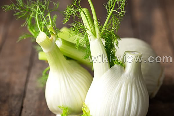رازیانه, خواص رازیانه, مضرات رازیانه, طریقه مصرف رازیانه, عرق رازیانه, خواص عرق رازیانه, مضرات عرق رازیانه, رازیانه و قاعدگی, زمان مصرف رازیانه, دمنوش رازیانه, مضرات رازیانه برای زنان, پودر رازیانه, طبع رازیانه رازیانه, خواص رازیانه, مضرات رازیانه, طریقه مصرف رازیانه, عرق رازیانه, خواص عرق رازیانه, مضرات عرق رازیانه, رازیانه و قاعدگی, زمان مصرف رازیانه, دمنوش رازیانه, مضرات رازیانه برای زنان, پودر رازیانه, طبع رازیانه