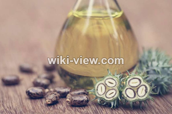 روغن کرچک, خواص روغن کرچک, مضرات روغن کرچک, مضرات روغن کرچک برای پوست صورت, روغن کرچک برای مژه, خواص روغن کرچک برای دور چشم, روغن کرچک برای یبوست, خواص روغن کرچک برای ابرو, روغن کرچک برای لک صورت, خوردن روغن کرچک روغن کرچک, خواص روغن کرچک, مضرات روغن کرچک, مضرات روغن کرچک برای پوست صورت, روغن کرچک برای مژه, خواص روغن کرچک برای دور چشم, روغن کرچک برای یبوست, خواص روغن کرچک برای ابرو, روغن کرچک برای لک صورت, خوردن روغن کرچک