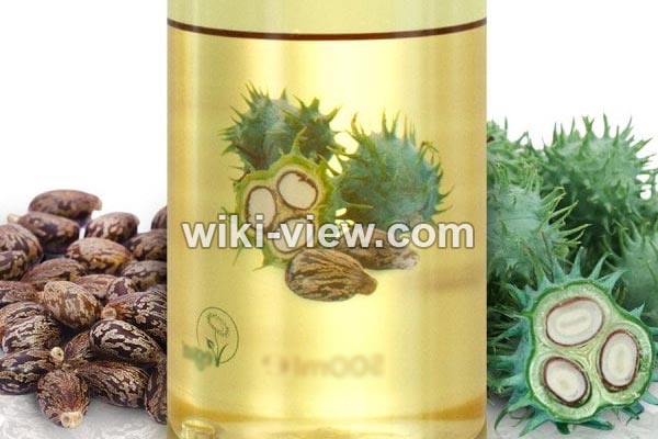 روغن کرچک, خواص روغن کرچک, مضرات روغن کرچک, مضرات روغن کرچک برای پوست صورت, روغن کرچک برای مژه, خواص روغن کرچک برای دور چشم, روغن کرچک برای یبوست, خواص روغن کرچک برای ابرو, روغن کرچک برای لک صورت, خوردن روغن کرچک روغن کرچک, خواص روغن کرچک, مضرات روغن کرچک, مضرات روغن کرچک برای پوست صورت, روغن کرچک برای مژه, خواص روغن کرچک برای دور چشم, روغن کرچک برای یبوست, خواص روغن کرچک برای ابرو, روغن کرچک برای لک صورت, خوردن روغن کرچک