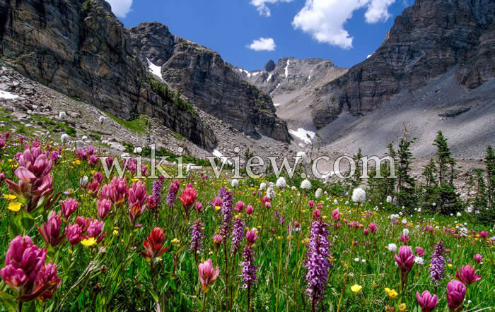 نور در عکاسی کوهستان / عکاسی از منظره کوهستان / آموزش عکاسی نور در منظره کوهستان
