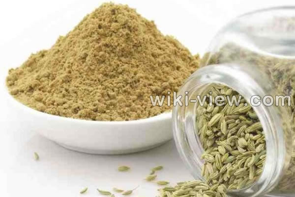 رازیانه, خواص رازیانه, مضرات رازیانه, طریقه مصرف رازیانه, عرق رازیانه, خواص عرق رازیانه, مضرات عرق رازیانه, رازیانه و قاعدگی, زمان مصرف رازیانه, دمنوش رازیانه, مضرات رازیانه برای زنان, پودر رازیانه, طبع رازیانه رازیانه, خواص رازیانه, مضرات رازیانه, طریقه مصرف رازیانه, عرق رازیانه, خواص عرق رازیانه, مضرات عرق رازیانه, رازیانه و قاعدگی, زمان مصرف رازیانه, دمنوش رازیانه, مضرات رازیانه برای زنان, پودر رازیانه, طبع رازیانه