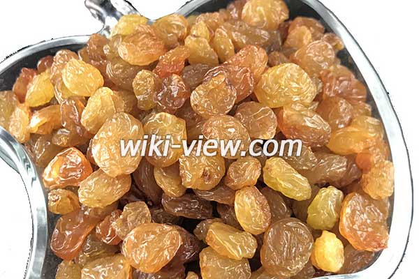 کشمش: طبع، خواص، مضرات / کشمش برای لاغری، مو، بارداری / کشمش پلویی کشمش: طبع، خواص، مضرات / کشمش برای لاغری، مو، بارداری / کشمش پلویی