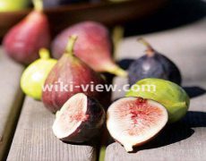 انجیر و انجیر خشک: خواص، مضرات، طبع / آب انجیر / شیر و انجیر