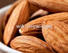بادام: خواص، مضرات، طبع، تعداد مصرف روزانه / بادام برای مو، مردان و لاغری بادام: خواص، مضرات، طبع، تعداد مصرف روزانه / بادام برای مو، مردان و لاغری