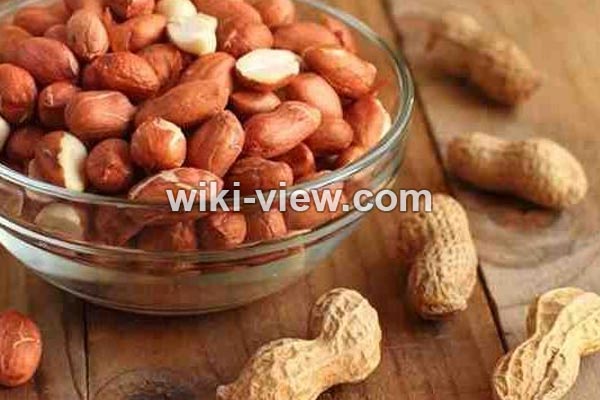 بادام زمینی, طبع بادام زمینی, خواص بادام زمینی, خواص بادام زمینی برای مو, بادام زمینی و کبد چرب, خواص بادام زمینی در بدنسازی, خواص بادام زمینی برای مغز, بادام زمینی چاق کننده است, بادام زمینی برای پوست صورت, مضرات بادام زمینی, کاشت بادام زمینی, فواید بادام زمینی بادام زمینی, طبع بادام زمینی, خواص بادام زمینی, خواص بادام زمینی برای مو, بادام زمینی و کبد چرب, خواص بادام زمینی در بدنسازی, خواص بادام زمینی برای مغز, بادام زمینی چاق کننده است, بادام زمینی برای پوست صورت, مضرات بادام زمینی, کاشت بادام زمینی, فواید بادام زمینی
