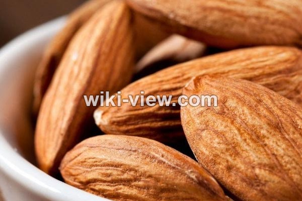 بادام, خواص بادام, مضرات بادام, خواص بادام برای مو, خواص بادام برای مردان, خواص بادام برای لاغری, روزانه چند عدد بادام بخوریم, ویتامین مغز بادام در جدول, طبع بادام, خاصیت بادام, درباره بادام بادام, خواص بادام, مضرات بادام, خواص بادام برای مو, خواص بادام برای مردان, خواص بادام برای لاغری, روزانه چند عدد بادام بخوریم, ویتامین مغز بادام در جدول, طبع بادام, خاصیت بادام, درباره بادام