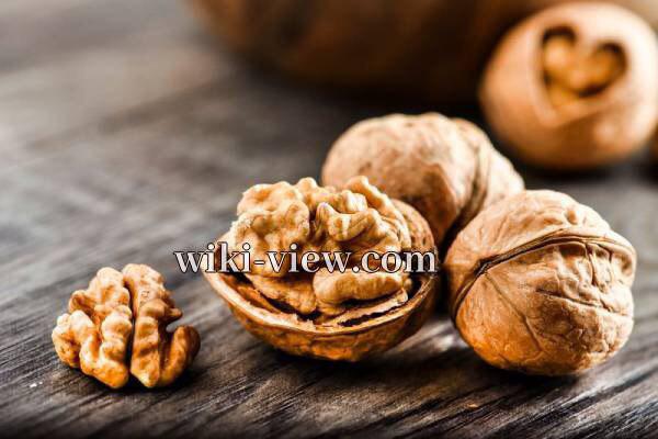 گردو, خاصیت گردو چیست, مضرات گردو, خواص گردو برای پوست, حداکثر مصرف گردو در روز, خواص گردو برای کبد, خواص گردو با عسل, خواص گردو برای کودکان, خواص گردو و بادام, طبع گردو گردو, خاصیت گردو چیست, مضرات گردو, خواص گردو برای پوست, حداکثر مصرف گردو در روز, خواص گردو برای کبد, خواص گردو با عسل, خواص گردو برای کودکان, خواص گردو و بادام, طبع گردو