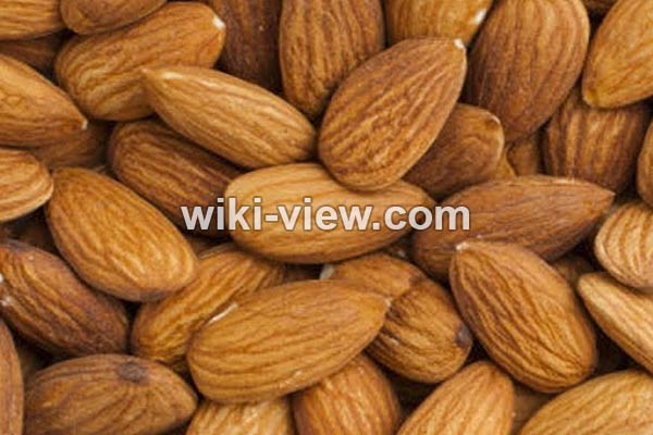 بادام, خواص بادام, مضرات بادام, خواص بادام برای مو, خواص بادام برای مردان, خواص بادام برای لاغری, روزانه چند عدد بادام بخوریم, ویتامین مغز بادام در جدول, طبع بادام, خاصیت بادام, درباره بادام بادام, خواص بادام, مضرات بادام, خواص بادام برای مو, خواص بادام برای مردان, خواص بادام برای لاغری, روزانه چند عدد بادام بخوریم, ویتامین مغز بادام در جدول, طبع بادام, خاصیت بادام, درباره بادام