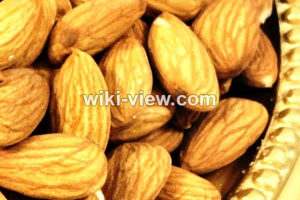 بادام, خواص بادام, مضرات بادام, خواص بادام برای مو, خواص بادام برای مردان, خواص بادام برای لاغری, روزانه چند عدد بادام بخوریم, ویتامین مغز بادام در جدول, طبع بادام, خاصیت بادام, درباره بادام بادام, خواص بادام, مضرات بادام, خواص بادام برای مو, خواص بادام برای مردان, خواص بادام برای لاغری, روزانه چند عدد بادام بخوریم, ویتامین مغز بادام در جدول, طبع بادام, خاصیت بادام, درباره بادام