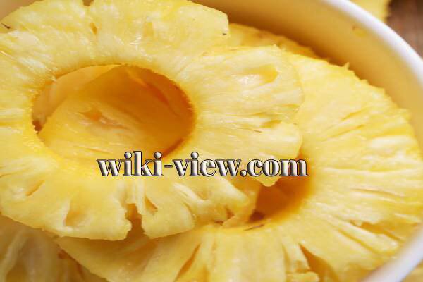 آناناس, فواید آناناس, مضرات آناناس, طبع آناناس, خواص آناناس در بارداری, درخت آناناس, حساسیت زبان به آناناس, خواص کمپوت آناناس, کاشت آناناس, زخم شدن زبان بعد از خوردن آناناس, خواص آناناس آناناس, فواید آناناس, مضرات آناناس, طبع آناناس, خواص آناناس در بارداری, درخت آناناس, حساسیت زبان به آناناس, خواص کمپوت آناناس, کاشت آناناس, زخم شدن زبان بعد از خوردن آناناس, خواص آناناس