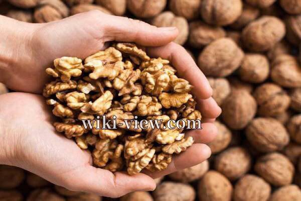 گردو, خاصیت گردو چیست, مضرات گردو, خواص گردو برای پوست, حداکثر مصرف گردو در روز, خواص گردو برای کبد, خواص گردو با عسل, خواص گردو برای کودکان, خواص گردو و بادام, طبع گردو گردو, خاصیت گردو چیست, مضرات گردو, خواص گردو برای پوست, حداکثر مصرف گردو در روز, خواص گردو برای کبد, خواص گردو با عسل, خواص گردو برای کودکان, خواص گردو و بادام, طبع گردو
