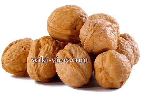 گردو, خاصیت گردو چیست, مضرات گردو, خواص گردو برای پوست, حداکثر مصرف گردو در روز, خواص گردو برای کبد, خواص گردو با عسل, خواص گردو برای کودکان, خواص گردو و بادام, طبع گردو گردو, خاصیت گردو چیست, مضرات گردو, خواص گردو برای پوست, حداکثر مصرف گردو در روز, خواص گردو برای کبد, خواص گردو با عسل, خواص گردو برای کودکان, خواص گردو و بادام, طبع گردو