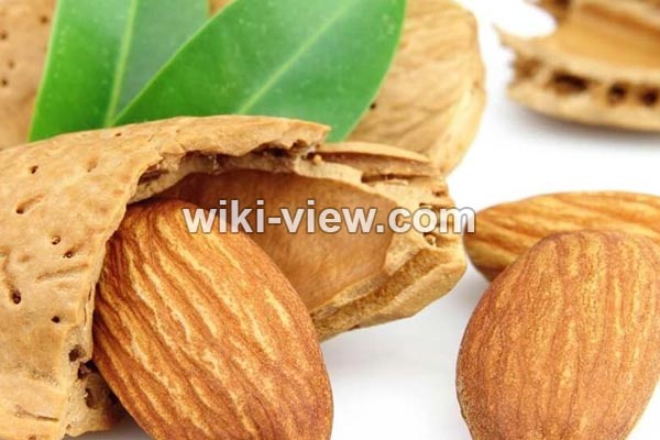 بادام, خواص بادام, مضرات بادام, خواص بادام برای مو, خواص بادام برای مردان, خواص بادام برای لاغری, روزانه چند عدد بادام بخوریم, ویتامین مغز بادام در جدول, طبع بادام, خاصیت بادام, درباره بادام بادام, خواص بادام, مضرات بادام, خواص بادام برای مو, خواص بادام برای مردان, خواص بادام برای لاغری, روزانه چند عدد بادام بخوریم, ویتامین مغز بادام در جدول, طبع بادام, خاصیت بادام, درباره بادام