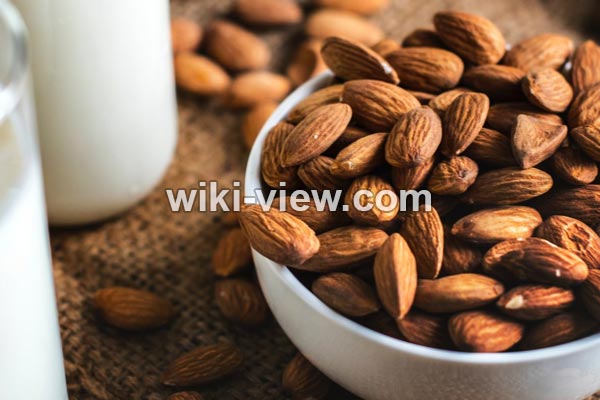 بادام, خواص بادام, مضرات بادام, خواص بادام برای مو, خواص بادام برای مردان, خواص بادام برای لاغری, روزانه چند عدد بادام بخوریم, ویتامین مغز بادام در جدول, طبع بادام, خاصیت بادام, درباره بادام بادام, خواص بادام, مضرات بادام, خواص بادام برای مو, خواص بادام برای مردان, خواص بادام برای لاغری, روزانه چند عدد بادام بخوریم, ویتامین مغز بادام در جدول, طبع بادام, خاصیت بادام, درباره بادام