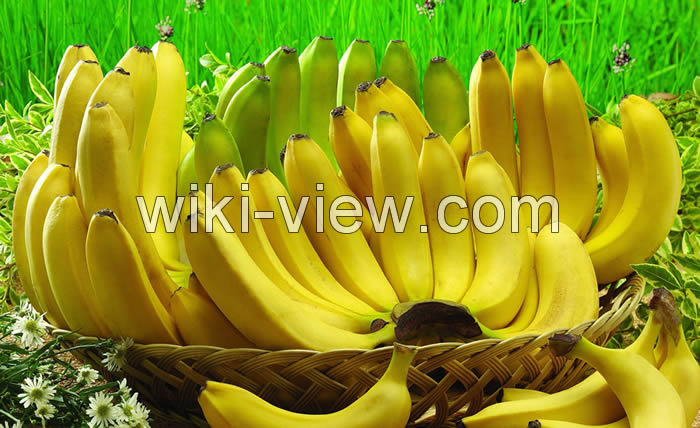 موز, خواص درمانی موز, مضرات موز, طبع موز, خواص موز برای کمر, خواص موز برای پوست, خواص موز برای کودکان, خواص موز در بدنسازی, خواص موز موز, خواص درمانی موز, مضرات موز, طبع موز, خواص موز برای کمر, خواص موز برای پوست, خواص موز برای کودکان, خواص موز در بدنسازی, خواص موز