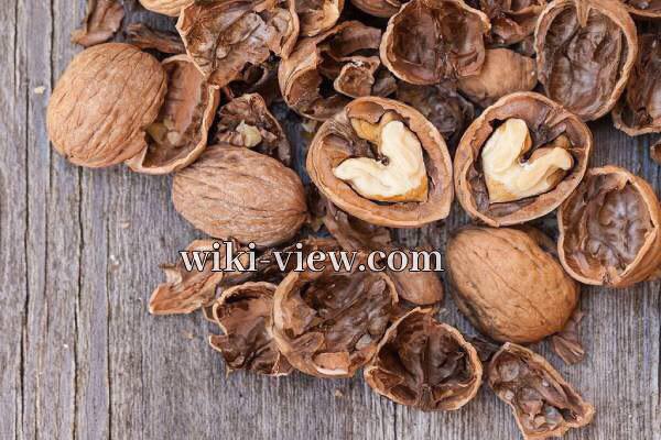 گردو, خاصیت گردو چیست, مضرات گردو, خواص گردو برای پوست, حداکثر مصرف گردو در روز, خواص گردو برای کبد, خواص گردو با عسل, خواص گردو برای کودکان, خواص گردو و بادام, طبع گردو گردو, خاصیت گردو چیست, مضرات گردو, خواص گردو برای پوست, حداکثر مصرف گردو در روز, خواص گردو برای کبد, خواص گردو با عسل, خواص گردو برای کودکان, خواص گردو و بادام, طبع گردو