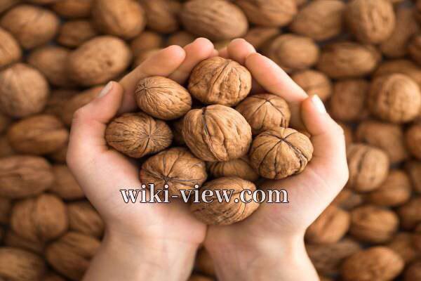 گردو, خاصیت گردو چیست, مضرات گردو, خواص گردو برای پوست, حداکثر مصرف گردو در روز, خواص گردو برای کبد, خواص گردو با عسل, خواص گردو برای کودکان, خواص گردو و بادام, طبع گردو گردو, خاصیت گردو چیست, مضرات گردو, خواص گردو برای پوست, حداکثر مصرف گردو در روز, خواص گردو برای کبد, خواص گردو با عسل, خواص گردو برای کودکان, خواص گردو و بادام, طبع گردو
