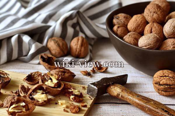 گردو, خاصیت گردو چیست, مضرات گردو, خواص گردو برای پوست, حداکثر مصرف گردو در روز, خواص گردو برای کبد, خواص گردو با عسل, خواص گردو برای کودکان, خواص گردو و بادام, طبع گردو گردو, خاصیت گردو چیست, مضرات گردو, خواص گردو برای پوست, حداکثر مصرف گردو در روز, خواص گردو برای کبد, خواص گردو با عسل, خواص گردو برای کودکان, خواص گردو و بادام, طبع گردو