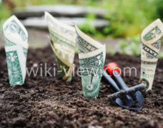 قانون موفقیت یازده / موفقیت در کارو زندگی / روز شمار موفقیت