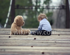 قانون موفقیت سیزده / موفقیت در کارو زندگی / روز شمار موفقیت