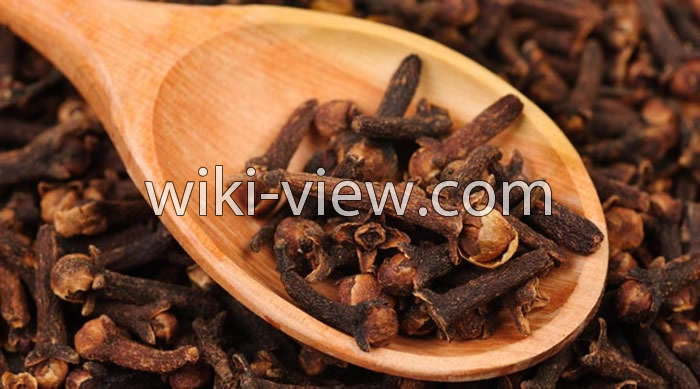 خواص میخک, مضرات میخک, طبع میخک, طریقه مصرف میخک, خواص میخک برای رحم, خواص میخک برای لاغری, گل میخک خشک شده, میخک ویکی پدیا, چوب میخک خواص میخک, مضرات میخک, طبع میخک, طریقه مصرف میخک, خواص میخک برای رحم, خواص میخک برای لاغری, گل میخک خشک شده, میخک ویکی پدیا, چوب میخک